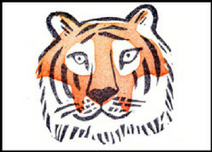 Design Intern at WWF-India